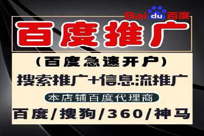 案例深度解析：SEM搜索引擎优化关键步骤